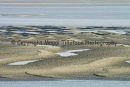 The Estuary at Low Tide, Baie de Somme - 3